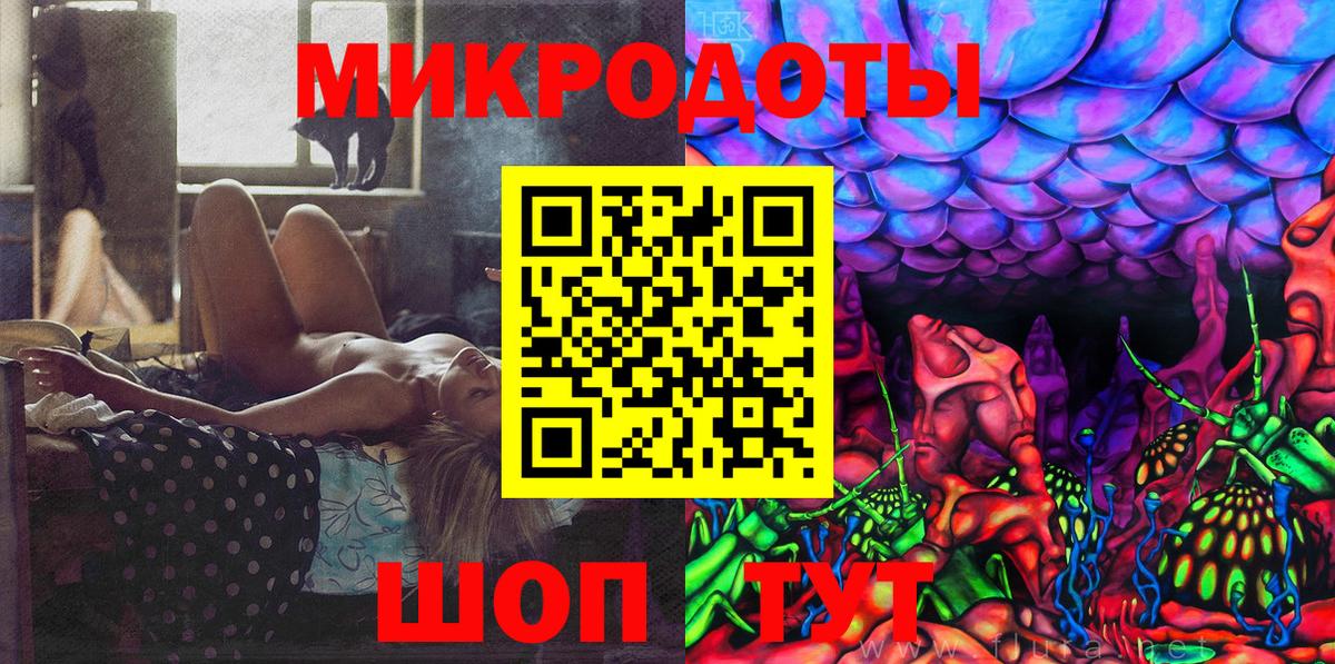 Псилоцибиновые грибы Psilocybine cubensis Ангарск