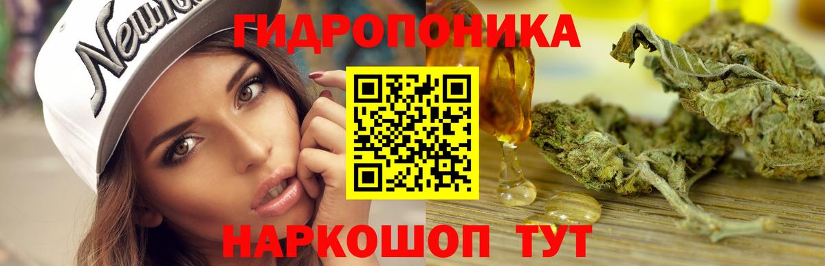 Бошки Шишки марихуана  Канабис White Widow  Ангарск  Вход с VPN  Конопля THC 21%  Канабис гибрид 